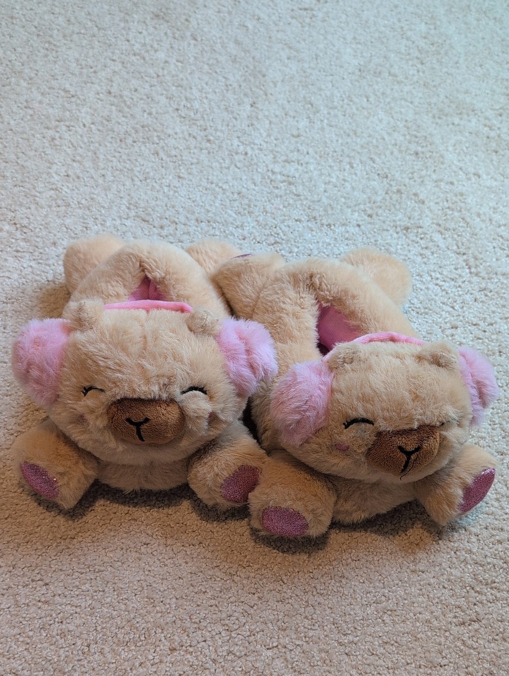 Kids Plush Capibara Slippers with Pink Accents Size S/M 10-1